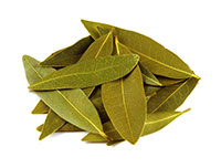 Bay Leaf