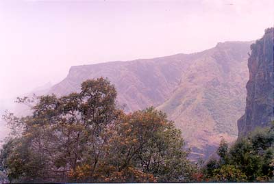 Blue Mountains