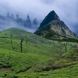 Darjeeling, Travel to Darjeeling, Sandakphu Trek, Phalut Peak, Denuded Peak