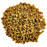 Fenugreek