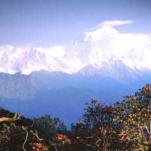 Gangtok