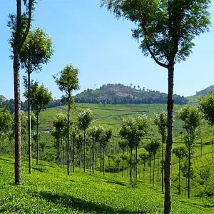 Kodachadri Hills