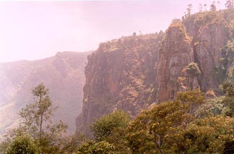 South India, Kodaikanal in Western ghats