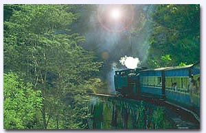 Nilgiri Mountain train